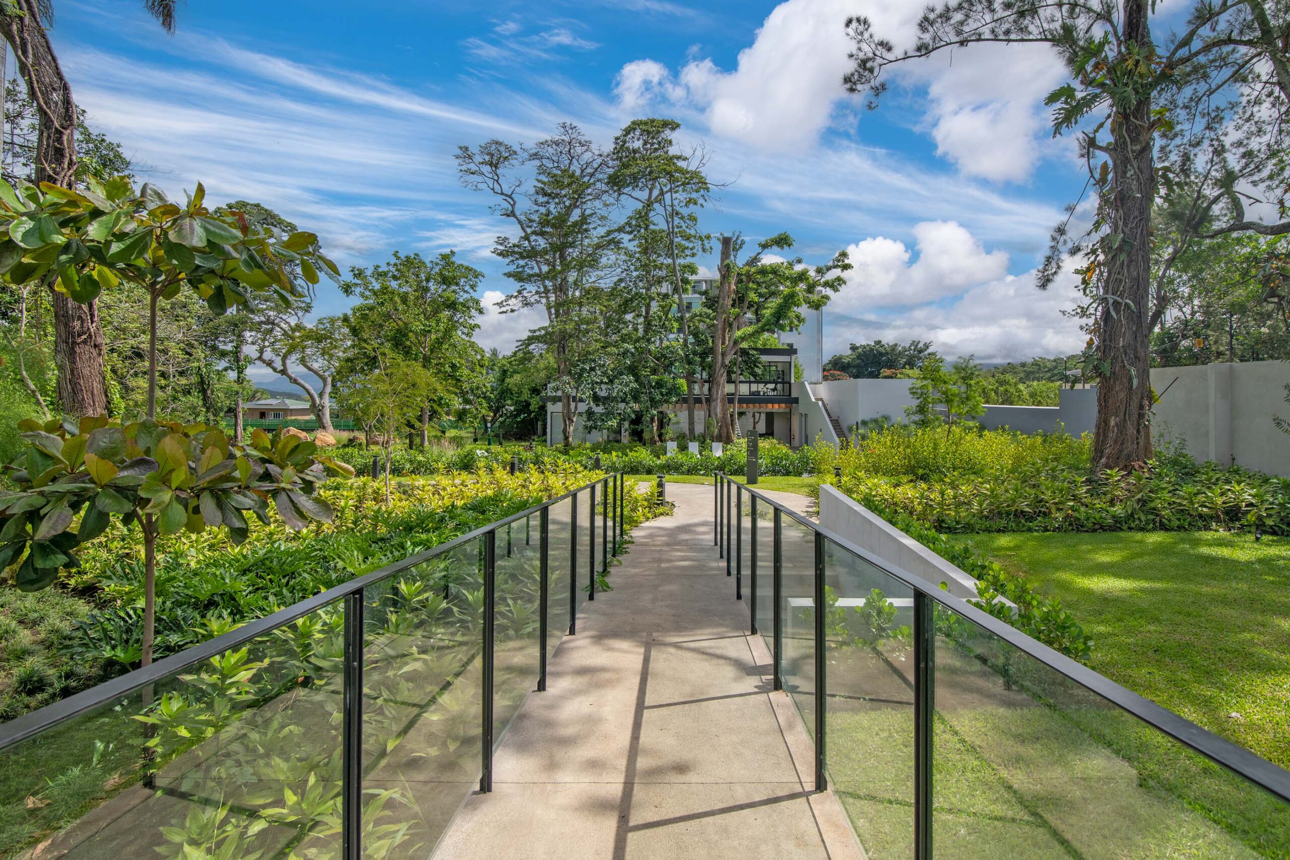 S1NGULAR_ATTALI_ESCAZU