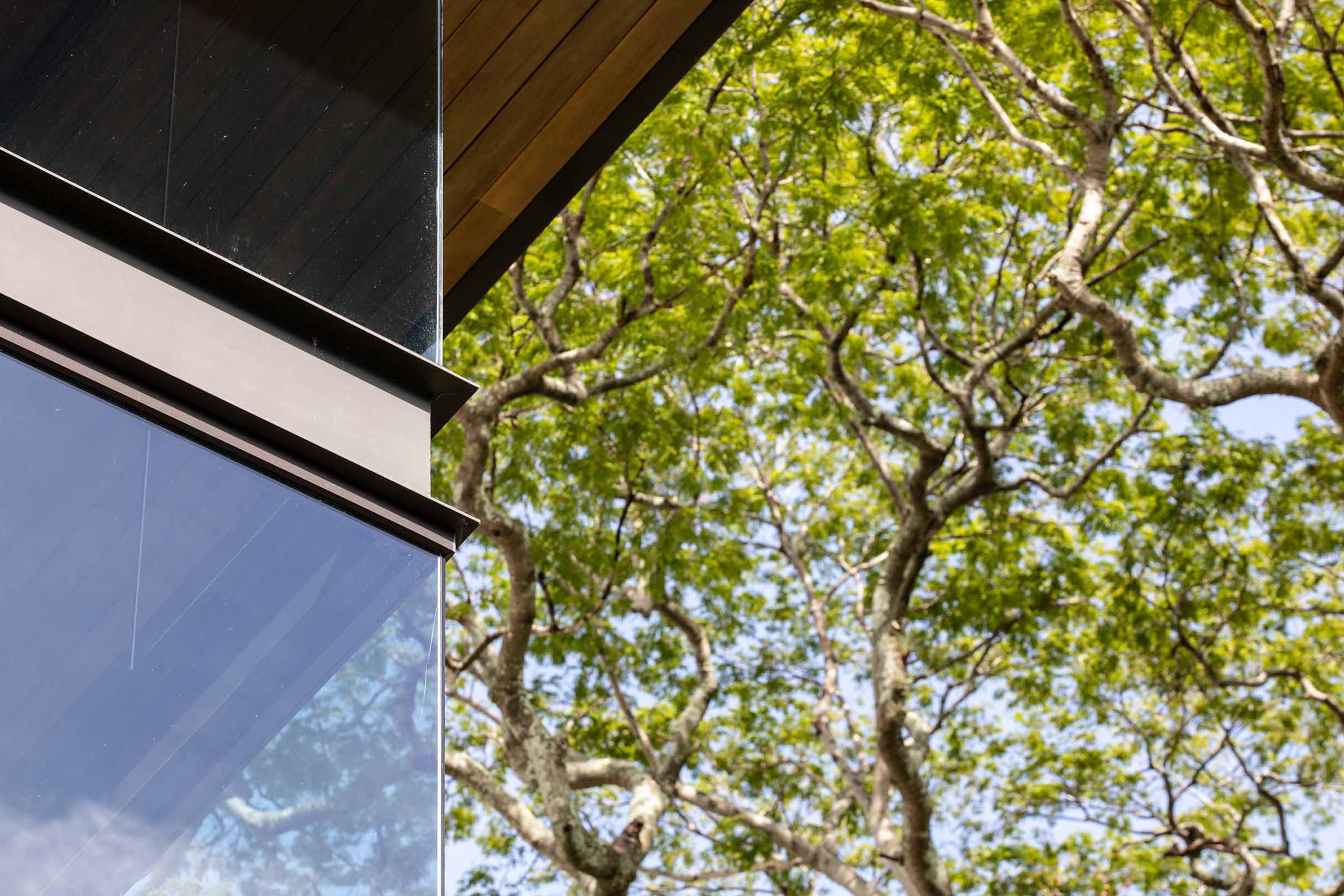 S1NGULAR_CASA-LAS-VISTAS_0006_Las Vistas Web-27