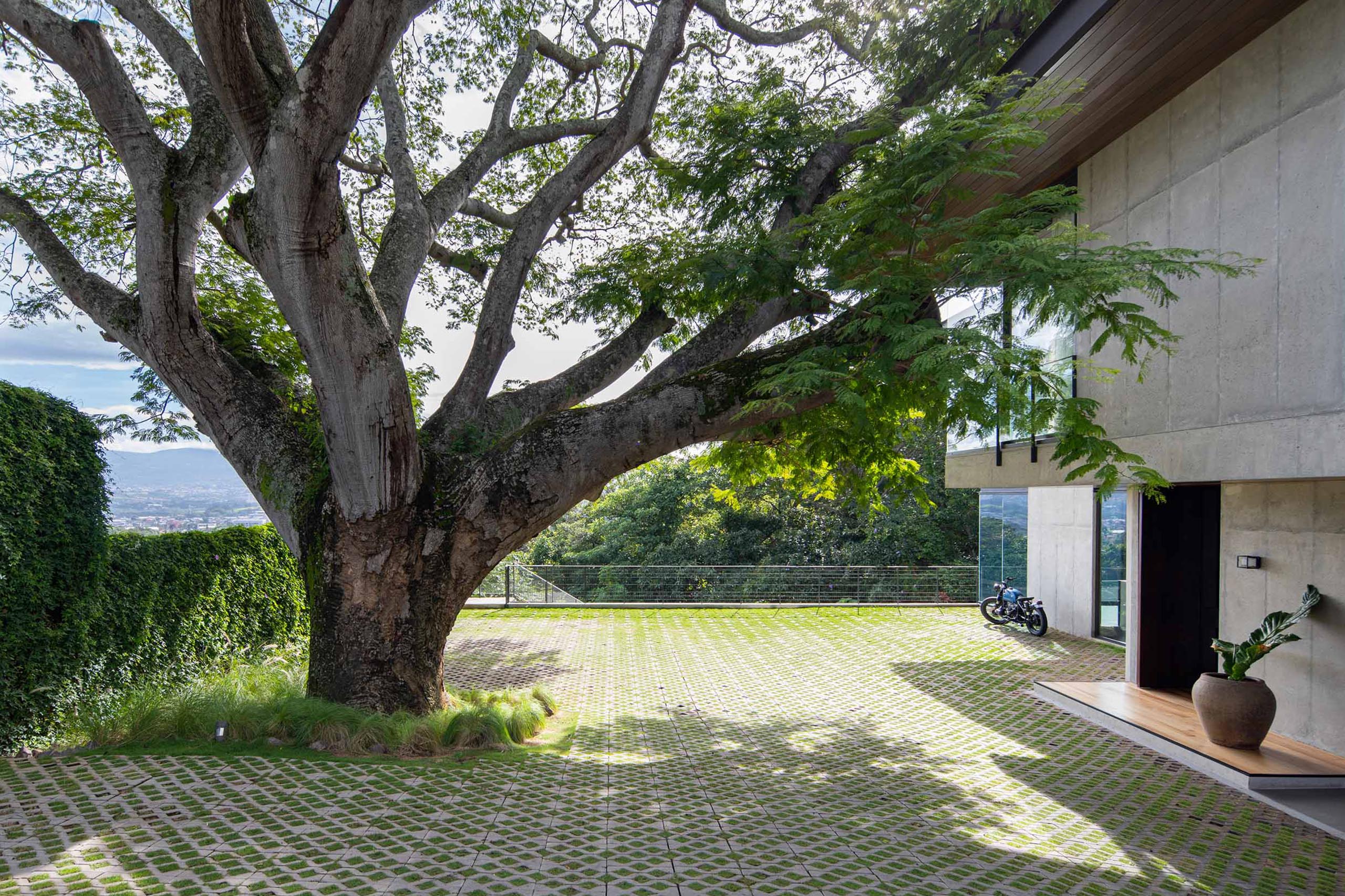 S1NGULAR_CASA-LAS-VISTAS_0028_Las Vistas Web-5